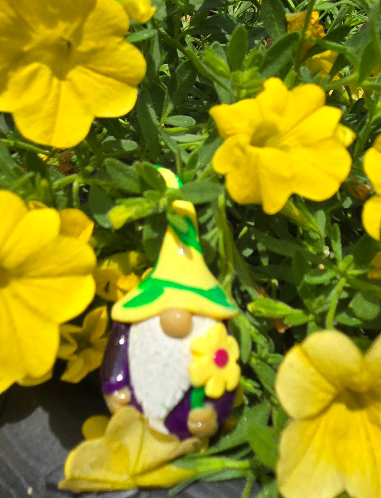 Handmade Gnomes
